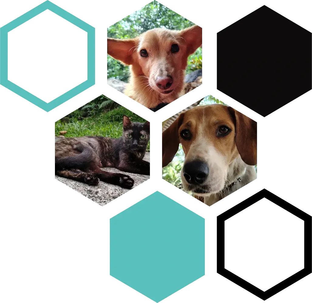 imagen Territorio Espiral