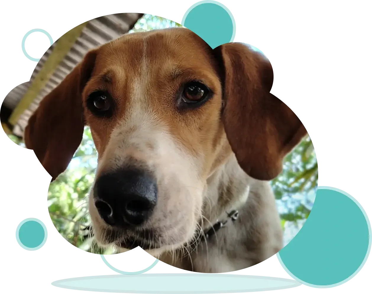 imagen Territorio Espiral